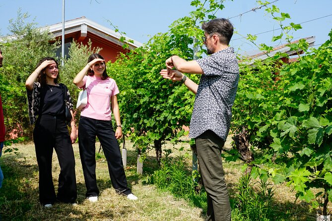 The history of Amarone: tour and vertical tasting of 3 decades - Practical Details: Booking, Timing, and Cancellation