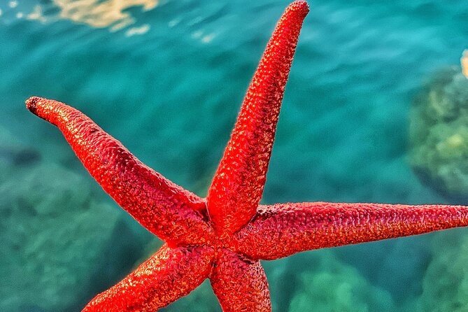 The Island of Capri Private Boat Tour 3 hours - Villa Malaparte: Modern Architecture and Scenic Views