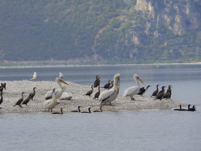 The Island of the Snakes - Golem Grad - Exploring Golem Grad: A Small Island with Big History