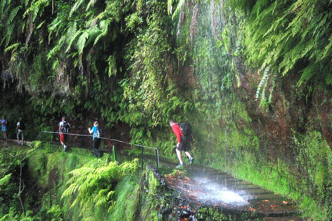 The King's Levada - Levada do Rei - Explore Madeira’s Iconic Levada do Rei for a Full-Day Adventure