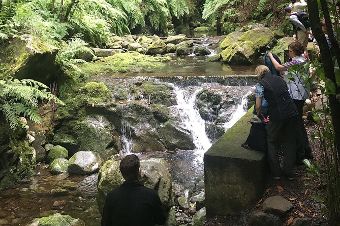 The King's Levada - Levada do Rei - Key Points