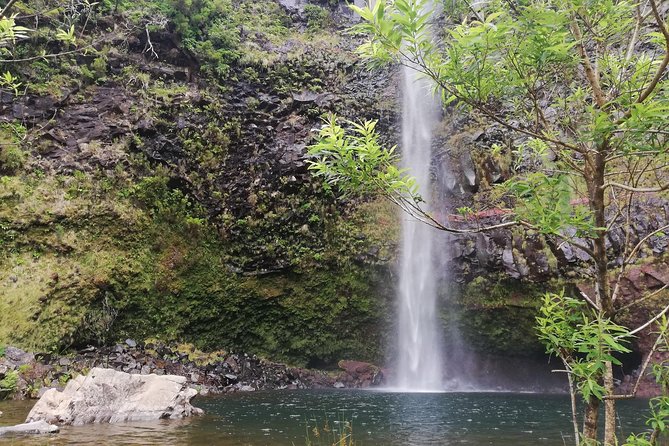 The Lakes Walk - Experience the Stunning Waterfalls and Lagoons of Madeira