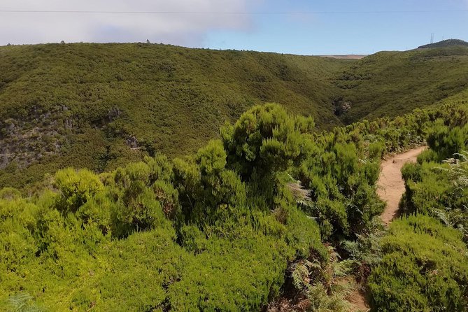 The Lakes Walk - What Sets The Lakes Walk Apart from Other Madeira Tours