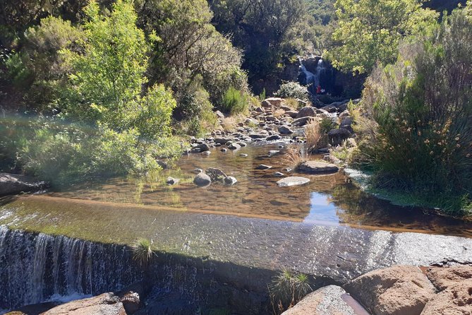 The Lakes Walk - The Sum Up: A Natural Escape for Water and Forest Enthusiasts