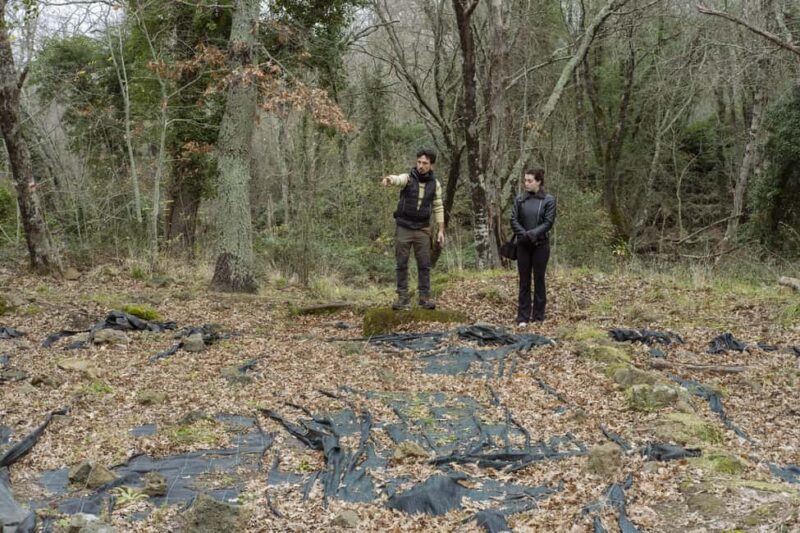 The Lamone Forest: among brigands and charcoal burners - Explore the Mysteries of Lamone Forest in Lazio