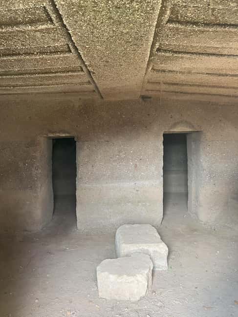 The Lamone Forest: among brigands and charcoal burners - Key Points