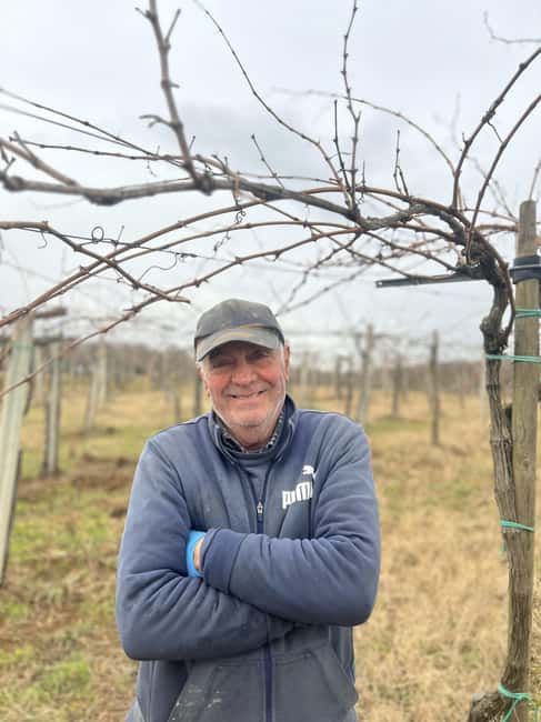 The Lamone Forest: among brigands and charcoal burners - Discovering the Ancient Etruscan Ruins of Rofalco