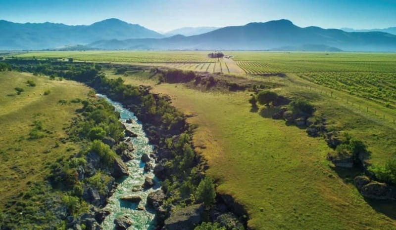 The largest winery in Montenegro: private tour & transport - Explore Montenegro’s Largest Winery: Private Tour & Transport from Podgorica