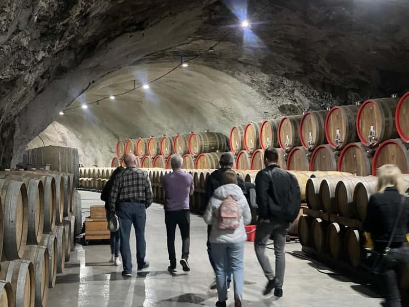 The largest winery in Montenegro: private tour & transport - Tasting Four Wines Paired with Montenegrin Delights