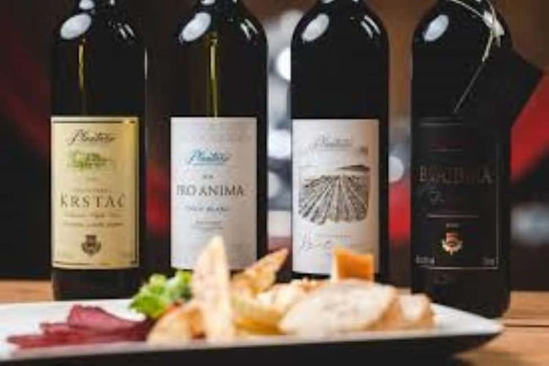 The largest winery in Montenegro: private tour & transport - The Experience Provider: Bleisure Montenegro