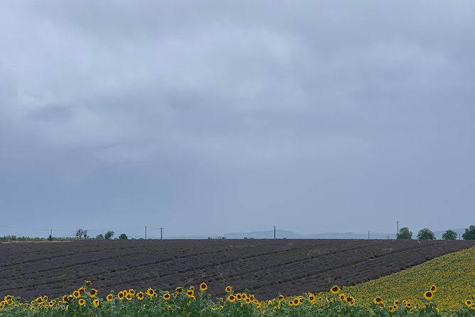 The Lavender tour from marseille or aix en provence - Value and Booking Considerations