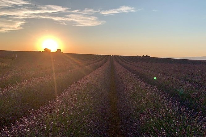 The Lavender tour from marseille or aix en provence - Physical Requirements and Accessibility