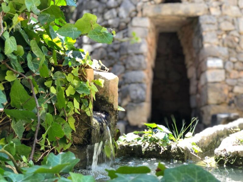 The Limestone Heritage Park and Gardens (Entry Ticket) - Discovering the Geological and Historical Exhibits