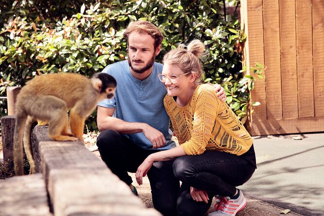 The London Pass®: 100+ Things To Do - Includes Tower Bridge - Westminster Abbey and Royal Sights