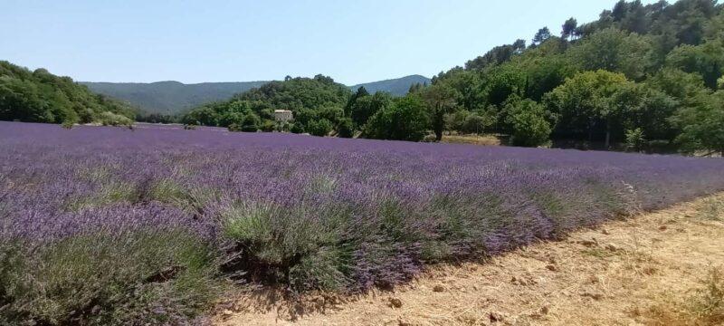 The Luberon: Gordes and Roussillon, discover it all by electric bike - Scenic Routes and Landscape Highlights