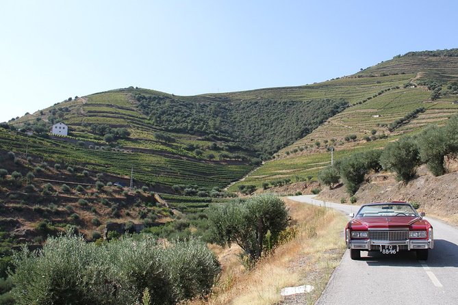 The Luxury Douro tour - Visiting a Family-Owned Wine Estate with a Unique Character