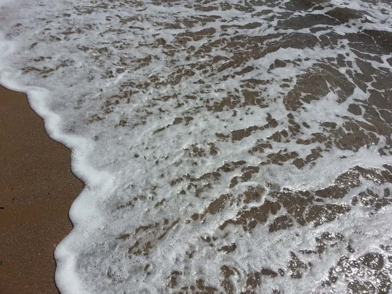 The Magic of the French Riviera: Full-Day Guided Tour - Discovering Monaco’s Old Town and Oceanographic Marvels