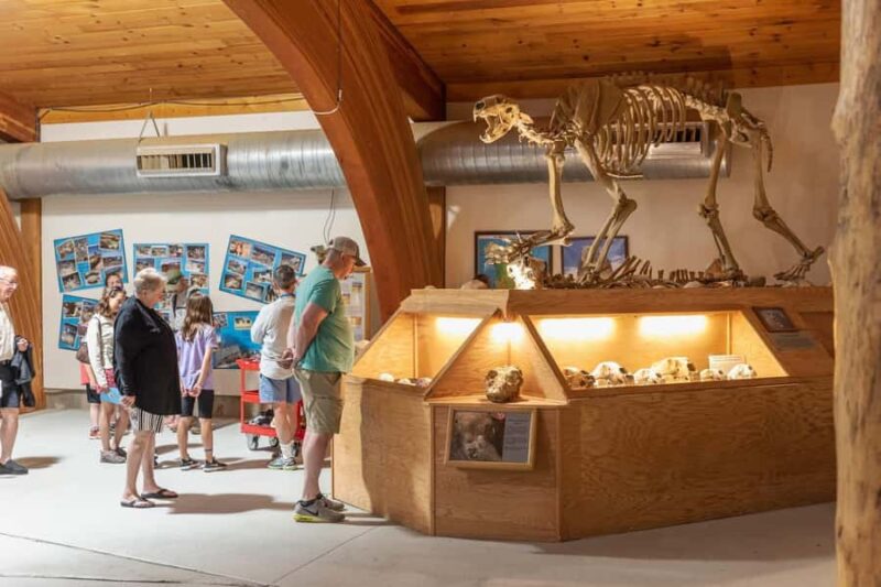 The Mammoth Site of Hot Springs General Admission Ticket - Visit a Unique Ice Age Sinkhole with Rich Fossil Finds