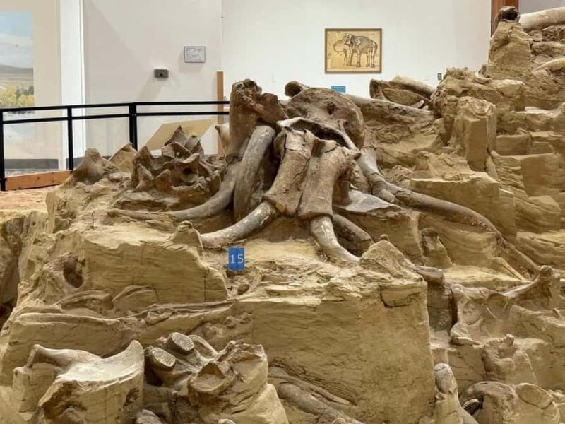 The Mammoth Site of Hot Springs General Admission Ticket - Accessibility and Practical Information for Visitors