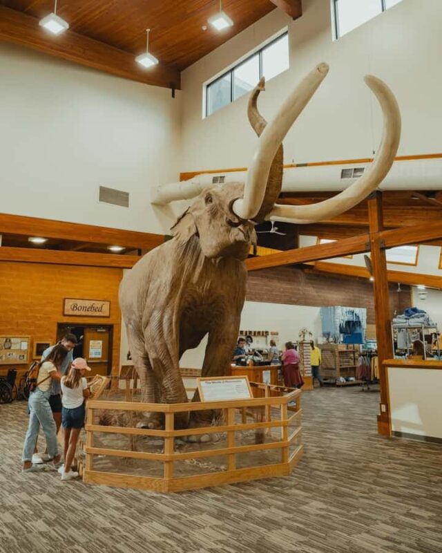 The Mammoth Site of Hot Springs General Admission Ticket - The Sum Up: A Fascinating Journey into the Ice Age in South Dakota