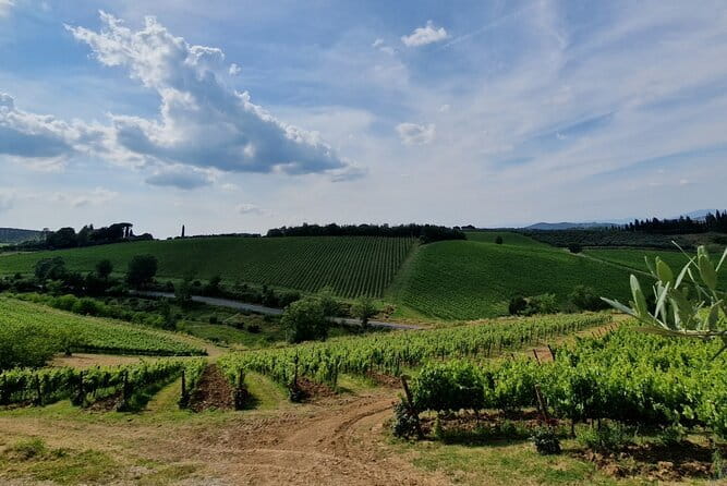 THE MASTER of Chianti Classico 3 Top Wineries Limousine Service - Starting Point and Transportation in Style