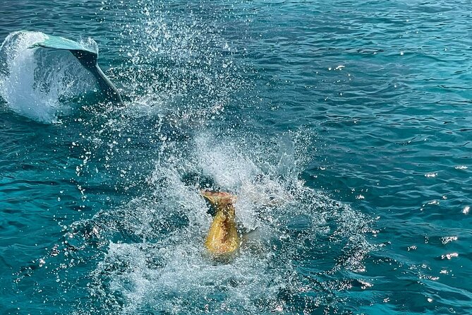 The Mermaid Cruise by Medusa Cruises  2:30-Hour Family Adventure - Visiting Green Bay and the Mythical Cyclops Cave