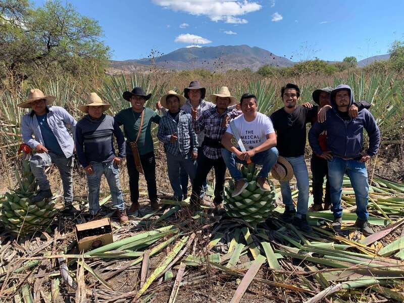 The Mezcal Journey - Booking, Cancellation, and Accessibility