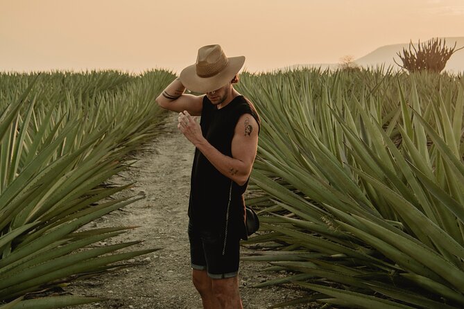 The Mezcal Journey - Discover the Heart of Oaxaca’s Mezcal Culture for Just Over $100