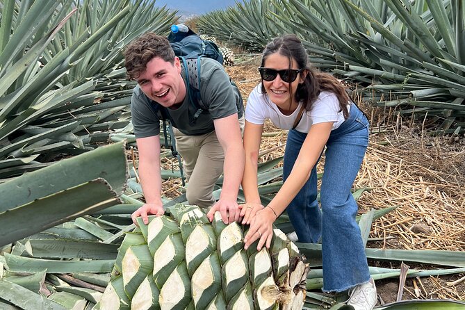 The Mezcal Journey - Visiting Santiago Matatlán’s Artisan Mezcal Factory