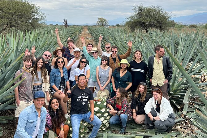 The Mezcal Journey - Wandering the Majestic Agave Fields in Mitla