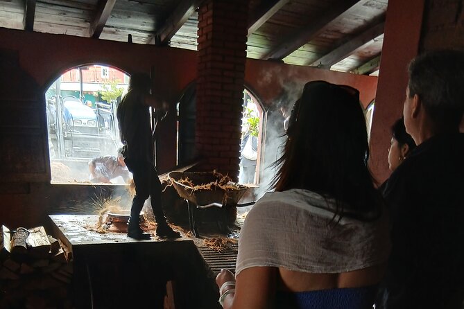 The Mezcal Tour - Visiting the Tule Tree: The Thickest Tree in the World