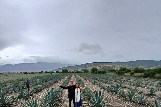 The Mezcal Tour - All-Inclusive Experience with Tastings and Transport