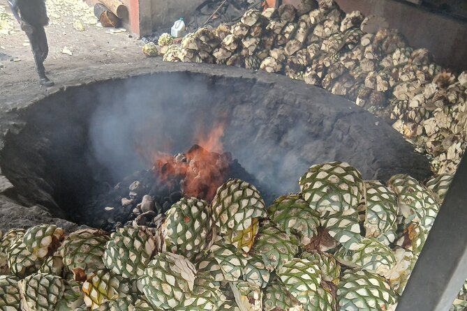 The Mezcal Tour - Practical Details: Meeting Point, Timing, and Accessibility