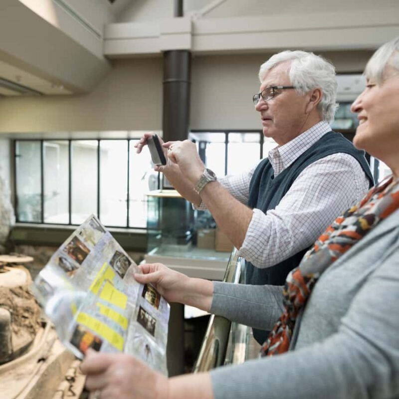 The Military Museums Family Day Ticket - Live Displays and Military Demonstrations