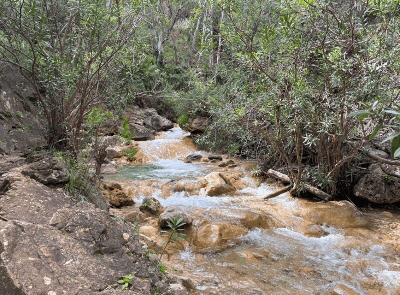 The Monks Trail: Mountain Hiking Adventure In Marbella - Key Points