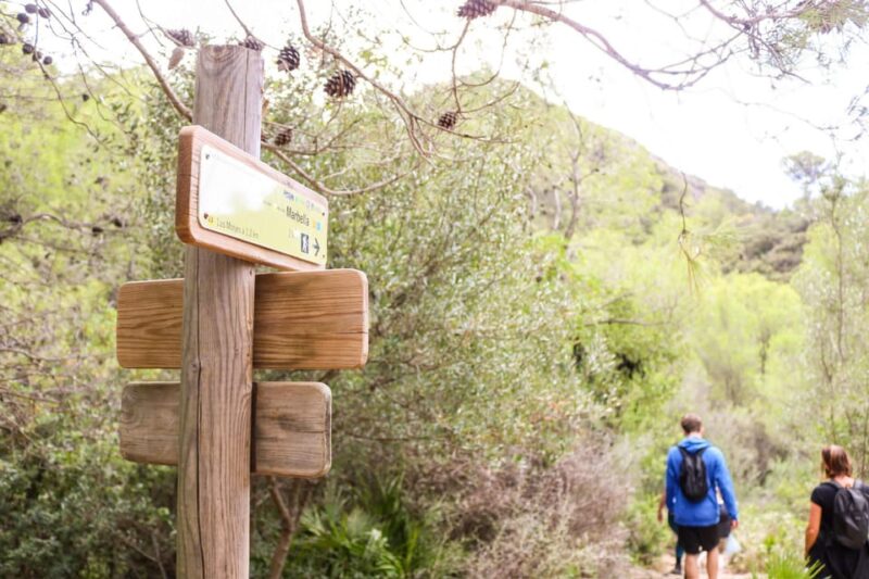 The Monks Trail: Mountain Hiking Adventure In Marbella - Reviews and Feedback Highlights