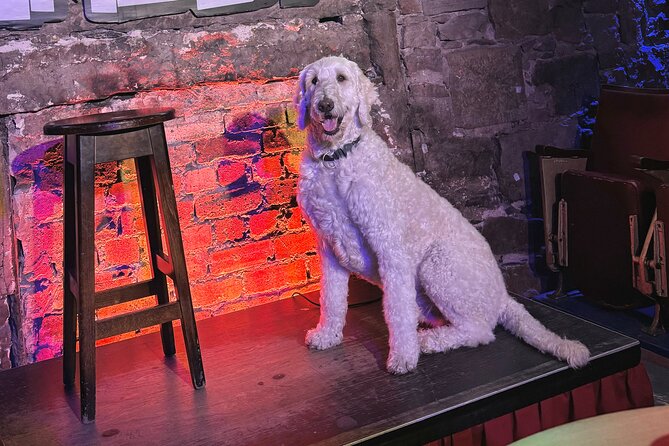 The Mountebank Comedy Whisky Tasting - The Whisky Tasting: Four Malt Whiskies from Across Scotland