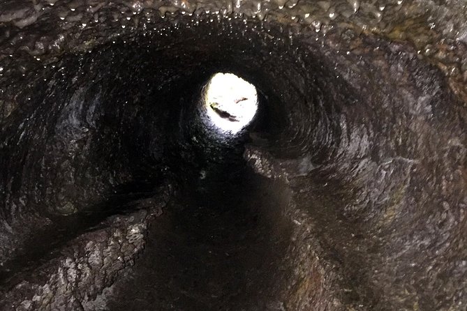 The Mt St Helens Adventure Tour from Portland - Discover the Mt. St. Helens Adventure Tour from Portland