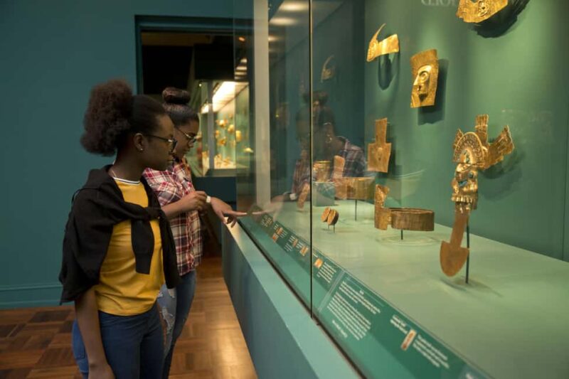 The Museum of Fine Arts, Houston Entry Ticket - Explore Multiple Gallery Buildings and Collections