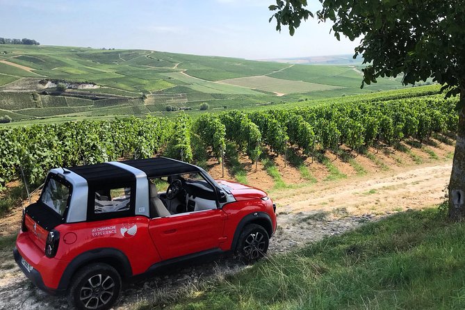 The Must-sees 3h30 from Epernay (Private Half day Champagne Tour) - Panoramic Views from Mareuil-sur-Aÿ and Mutigny