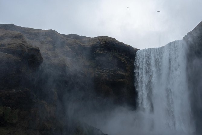 The Mysterious South Coast Private Tour - Exploring the Dramatic Waterfalls: Seljalandsfoss and Skogafoss