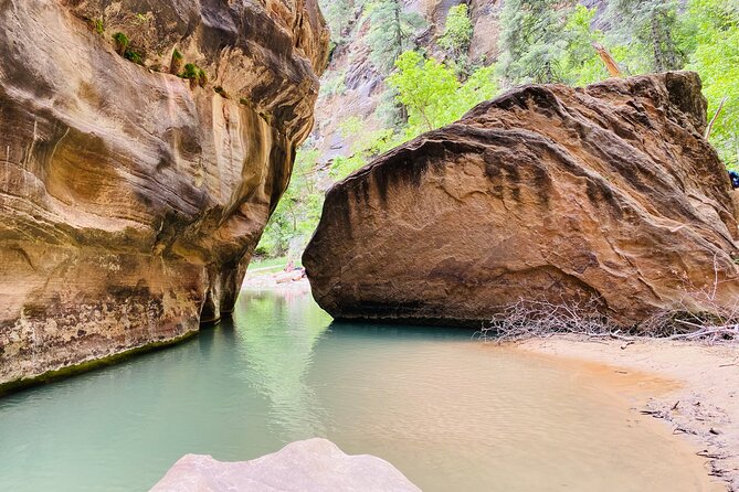 The Narrows: Zion National Park Private Guided Hike - Why Choose Cedar & Sage Boutique Trekking?
