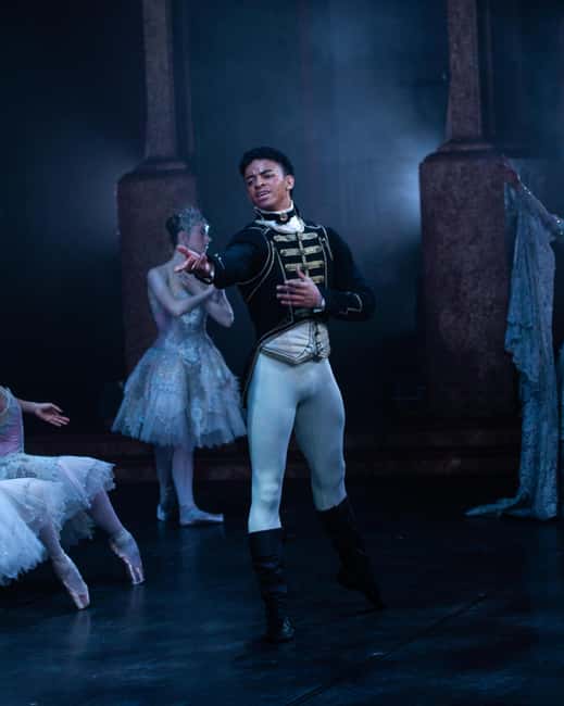 The New Years Day Ballet Concert Ticket | London - Who Should Book This Ticket