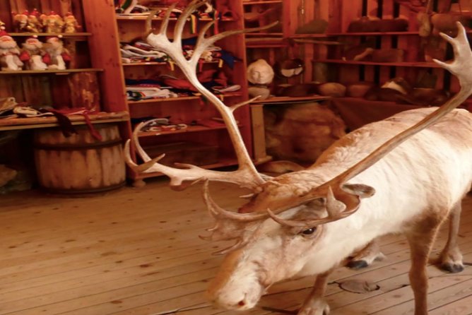 The North Cape, Reindeer and Sami Families Tour - Exploring the Fishing Village