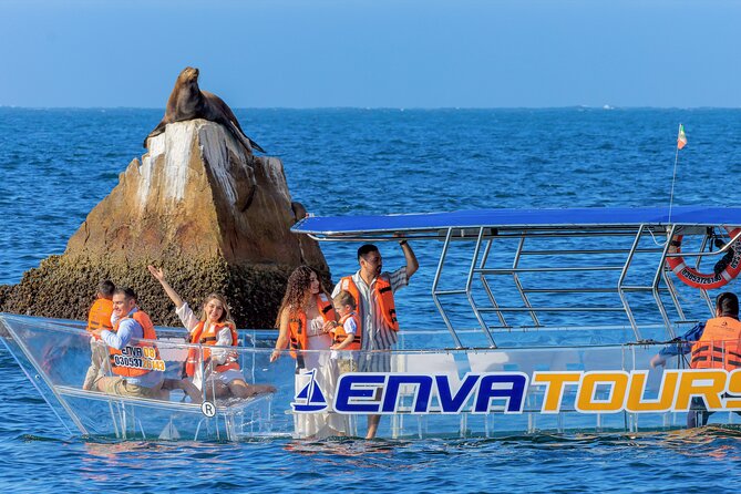 The Official Clear Boat to the Arch-Cabo´s Iconic tour experience - What Makes This Tour Different: The Transparent Vessel