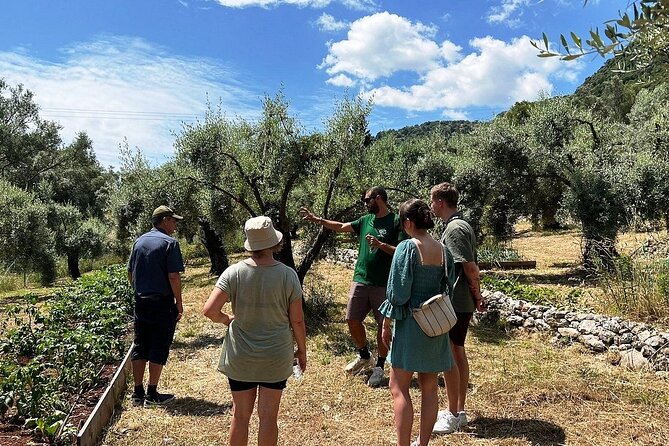 The Olive Oil Experience @ Lefkada Micro Farm - Tasting Differentiated Olive Oils and Sensory Experimentation