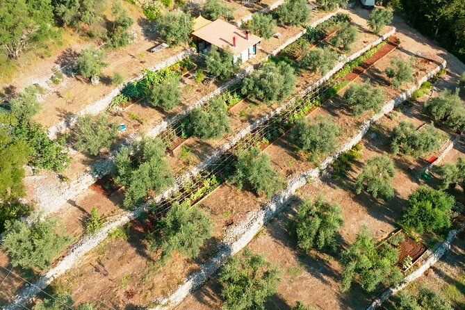 The Olive Oil Experience @ Lefkada Micro Farm - Practical Tips for Visiting Lefkada Micro Farm