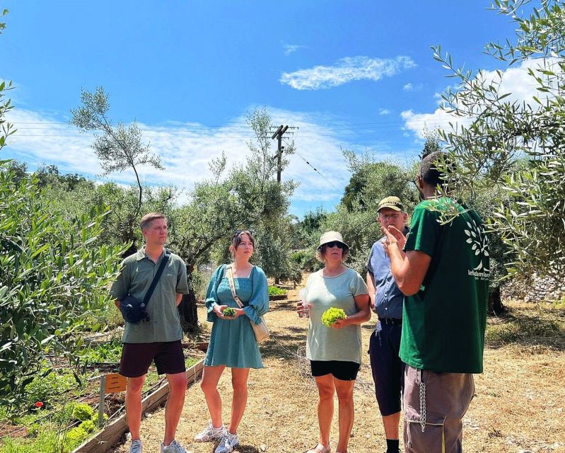 The Olive Oil Experience @ Lefkada Micro Farm - Hands-On Experience with a Manual Olive Oil Press