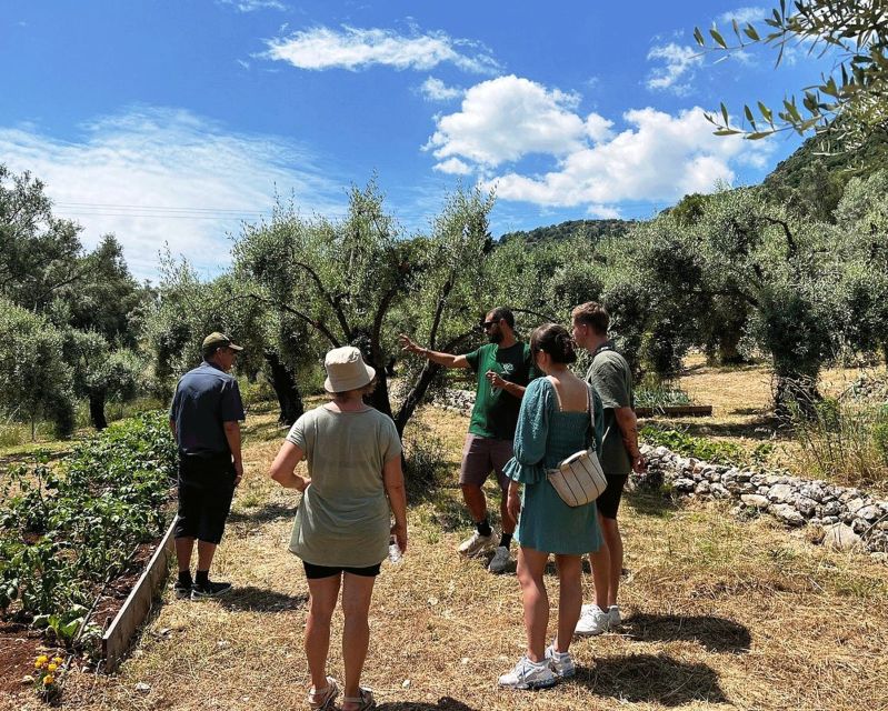 The Olive Oil Experience @ Lefkada Micro Farm - Best suited for those wanting an authentic olive oil experience