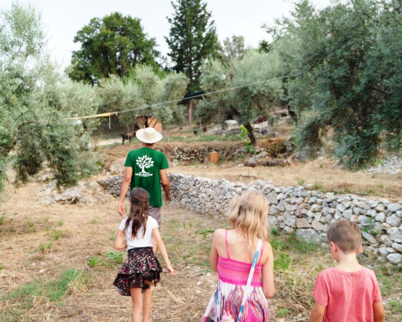 The Olive Oil Experience @ Lefkada Micro Farm - Frequently Asked Questions